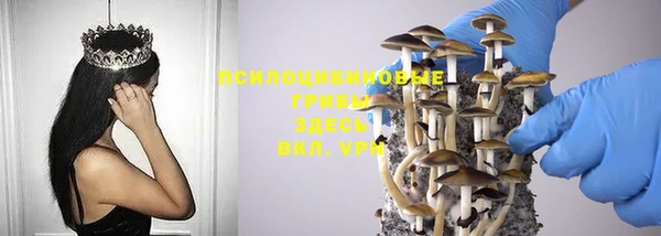 герыч Карпинск